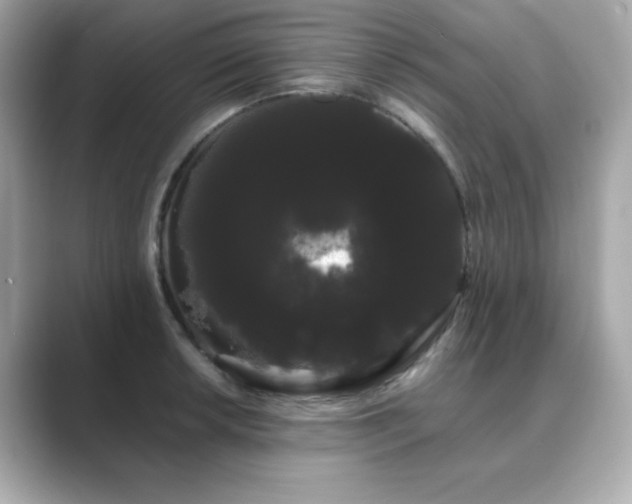 X0000089761042200706211540