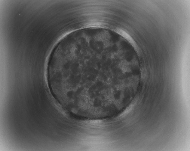 X0000089761043200706211540