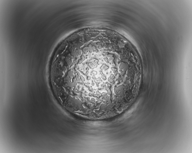 X0000089761045200706211540