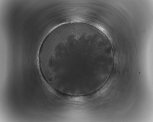 X0000089761047200706211540