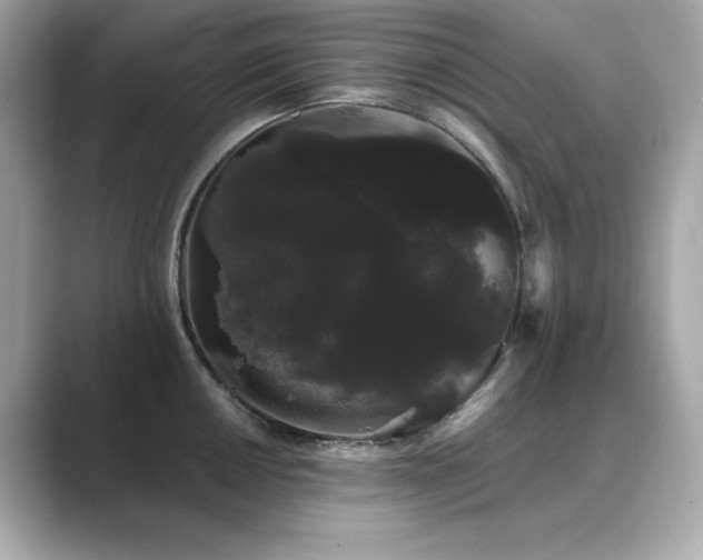 X0000089761050200706211540