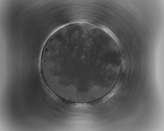 X0000089761052200706211540