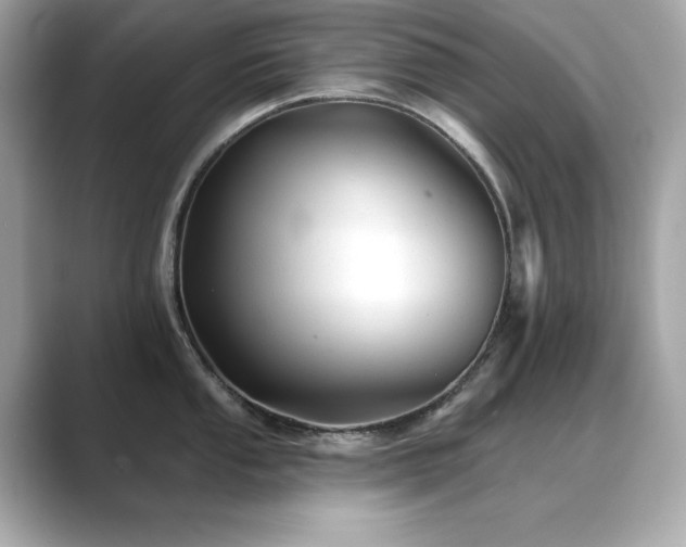 X0000089761053200706211540
