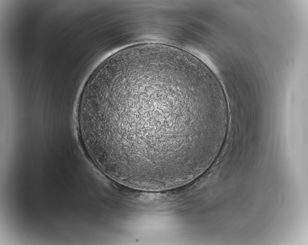 X0000089761056200706211540