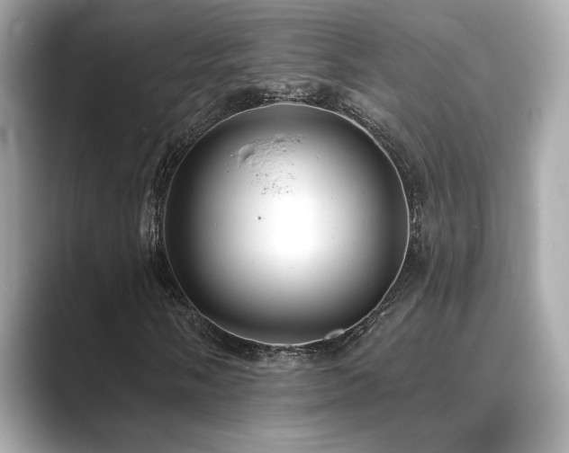 X0000089761058200706211539