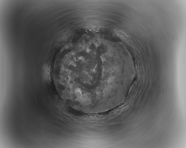 X0000089761060200706211539