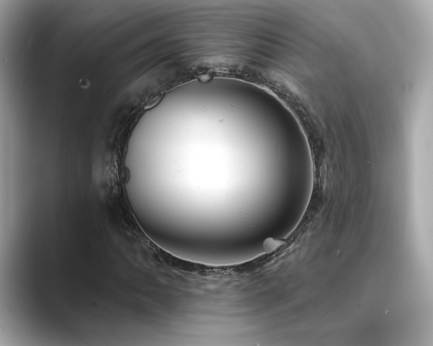 X0000089761062200706211539