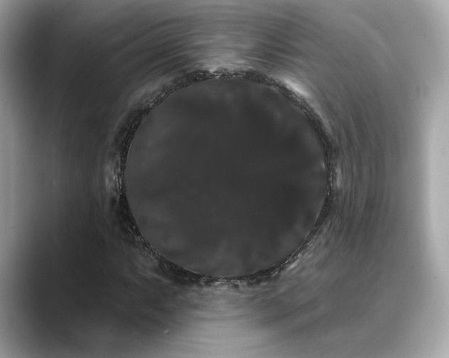 X0000089761063200706211539
