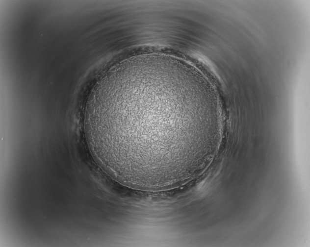 X0000089761064200706211539