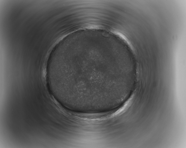 X0000089761065200706211539