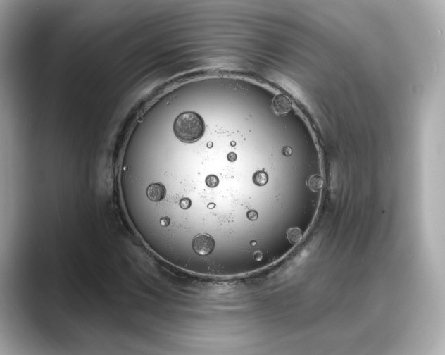 X0000089761067200706211539