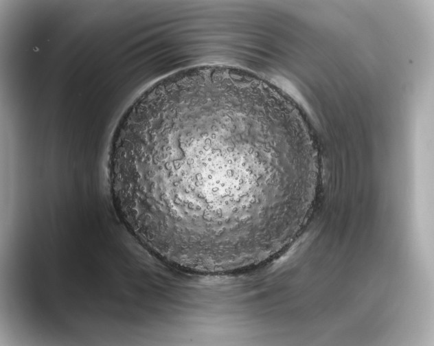 X0000089761068200706211539