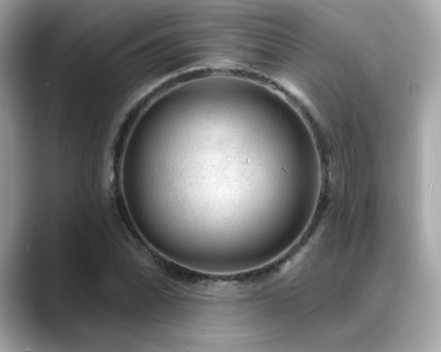 X0000089761070200706211539
