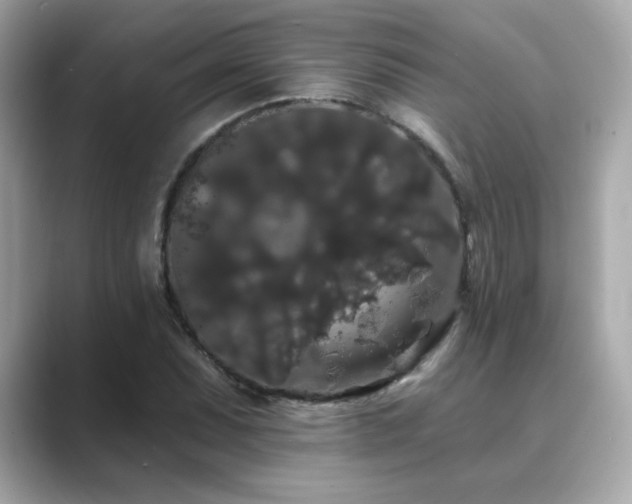 X0000089761071200706211539