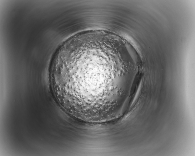X0000089761072200706211539
