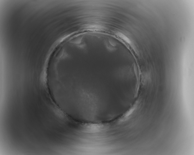 X0000089761074200706211539