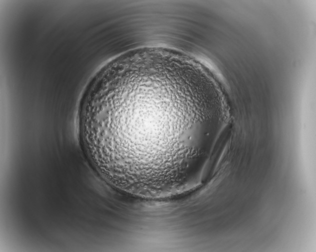 X0000089761076200706211539