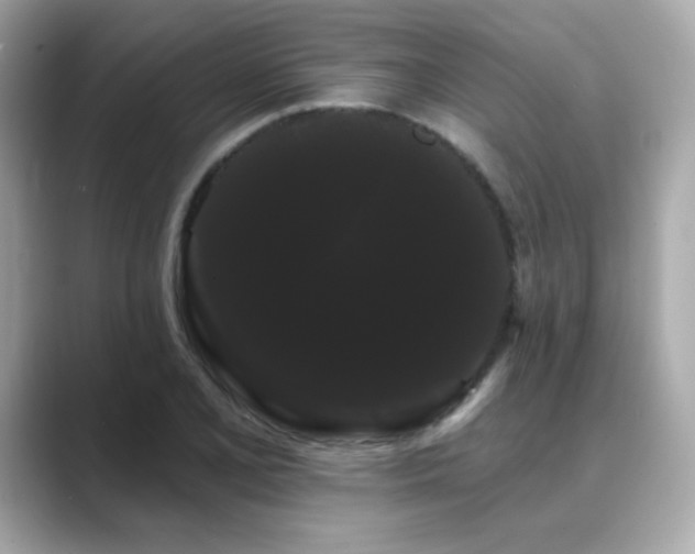 X0000089761077200706211539