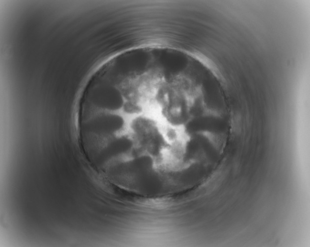 X0000089761078200706211539