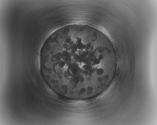 X0000089761079200706211539