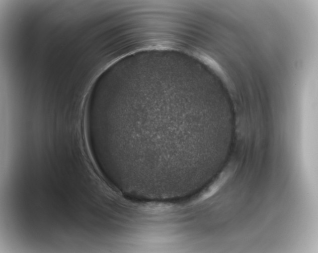 X0000089761081200706211539