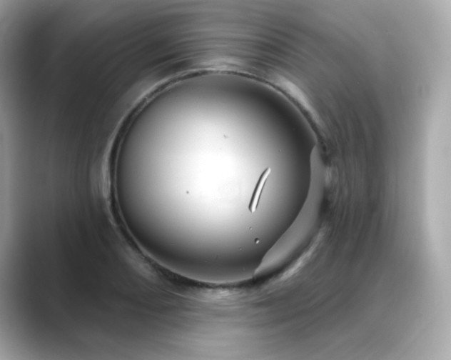 X0000089761082200706211539