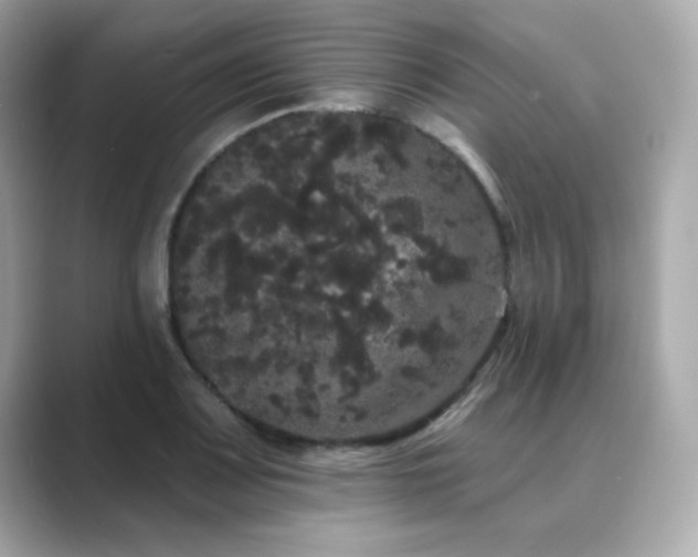 X0000089761083200706211539