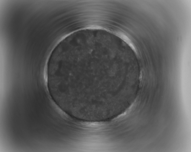X0000089761084200706211539