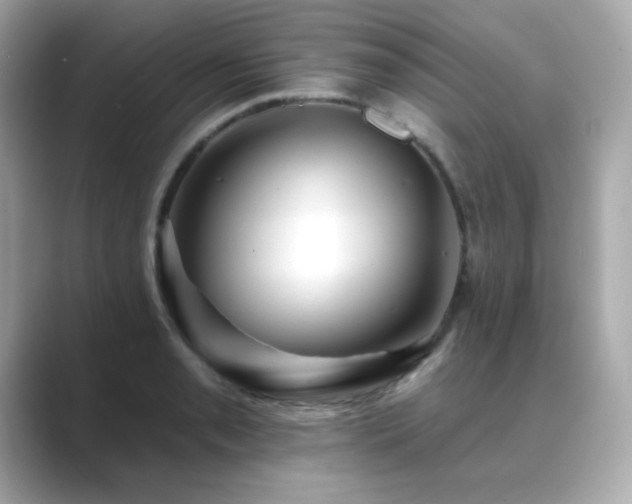 X0000089761085200706211539