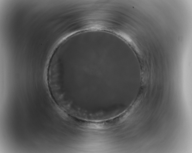 X0000089761086200706211539