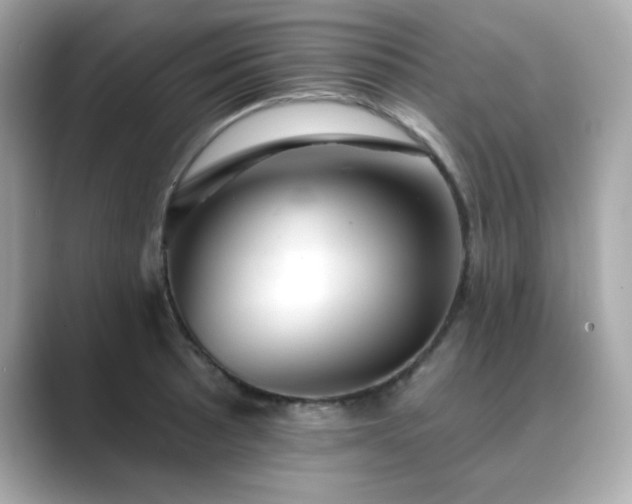 X0000089761089200706211539