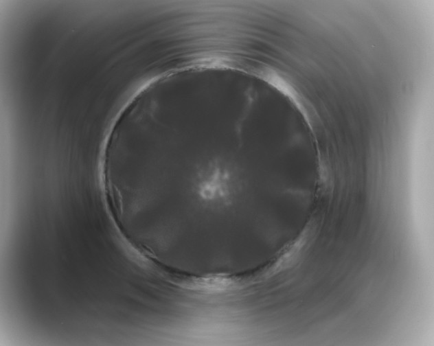 X0000089761090200706211539