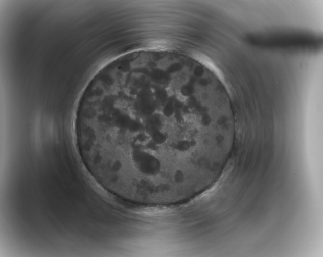 X0000089761091200706211539