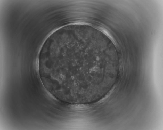 X0000089761092200706211539