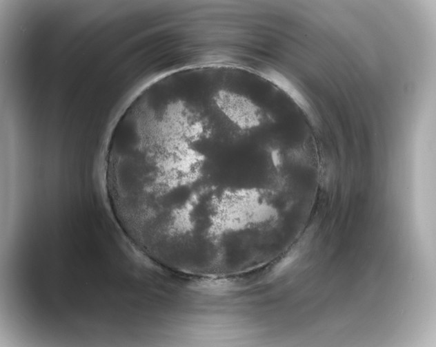 X0000089761094200706211539