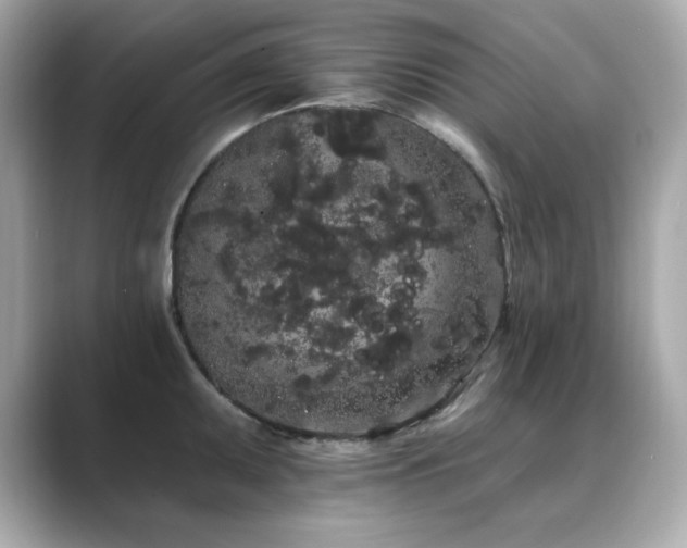 X0000089761095200706211539