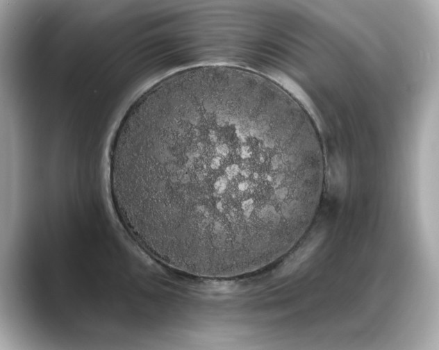 X0000089761096200706211539