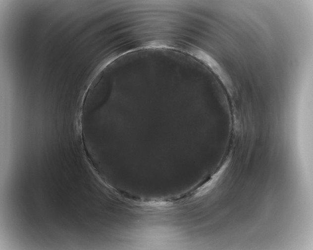 X0000089761097200706211539