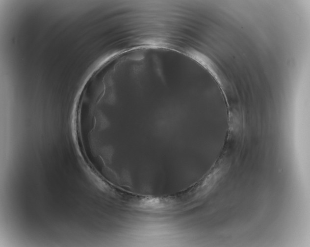 X0000089761098200706211539