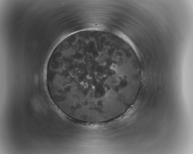 X0000089761099200706211539