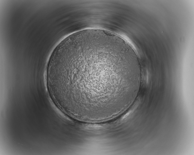 X0000089761100200706211539