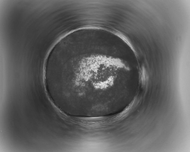 X0000089761101200706211539