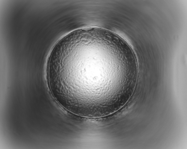 X0000089761104200706211539
