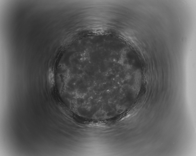 X0000089761106200706211538