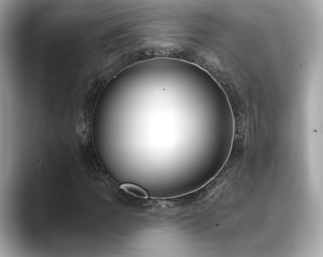 X0000089761109200706211538