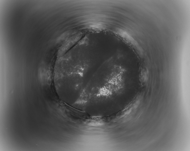 X0000089761110200706211538