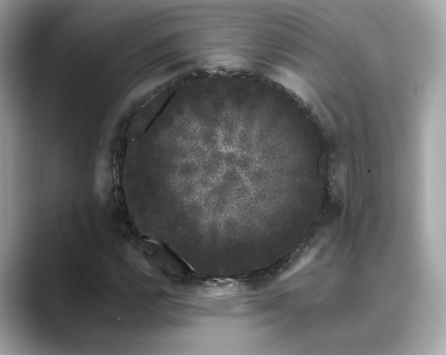 X0000089761112200706211538