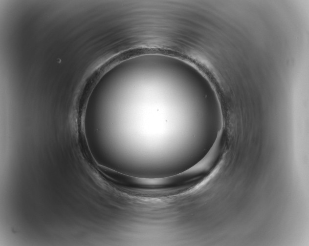X0000089761114200706211538