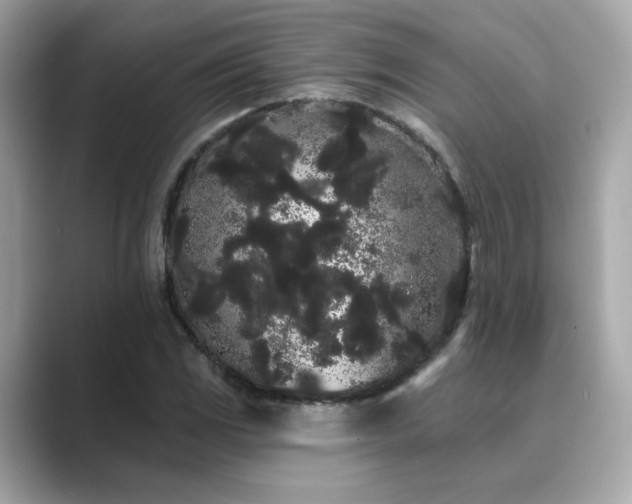 X0000089761117200706211538