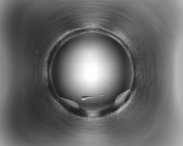 X0000089761118200706211538